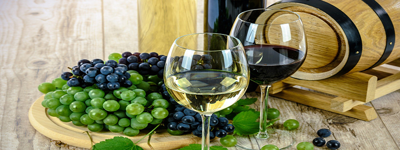 Weinreise- Schmecke den Sommer